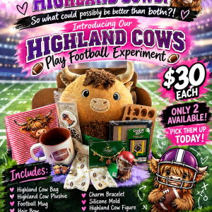 🐮🏈 THE HIGHLAND COWS PLAY FOOTBALL EXPERIMENT 🏈🐮