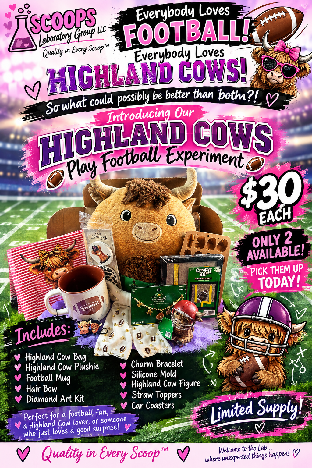 🐮🏈 THE HIGHLAND COWS PLAY FOOTBALL EXPERIMENT 🏈🐮